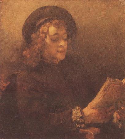 REMBRANDT Harmenszoon van Rijn Titus Reading (mk33) oil painting image